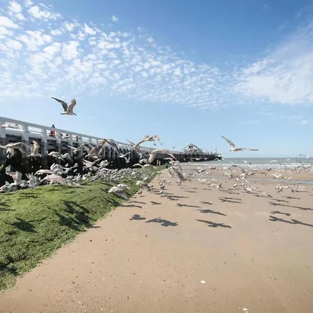 Apartamento Flat In With Marina Views *