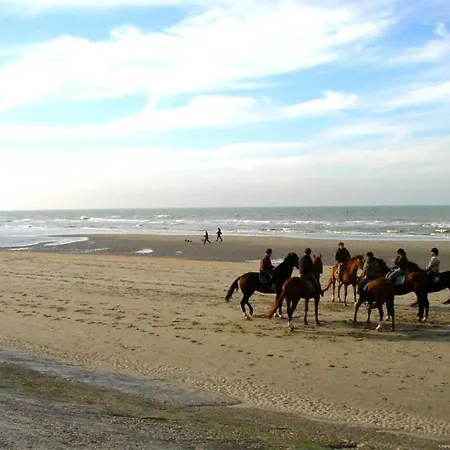 Flat In With Marina Views Apartamento *